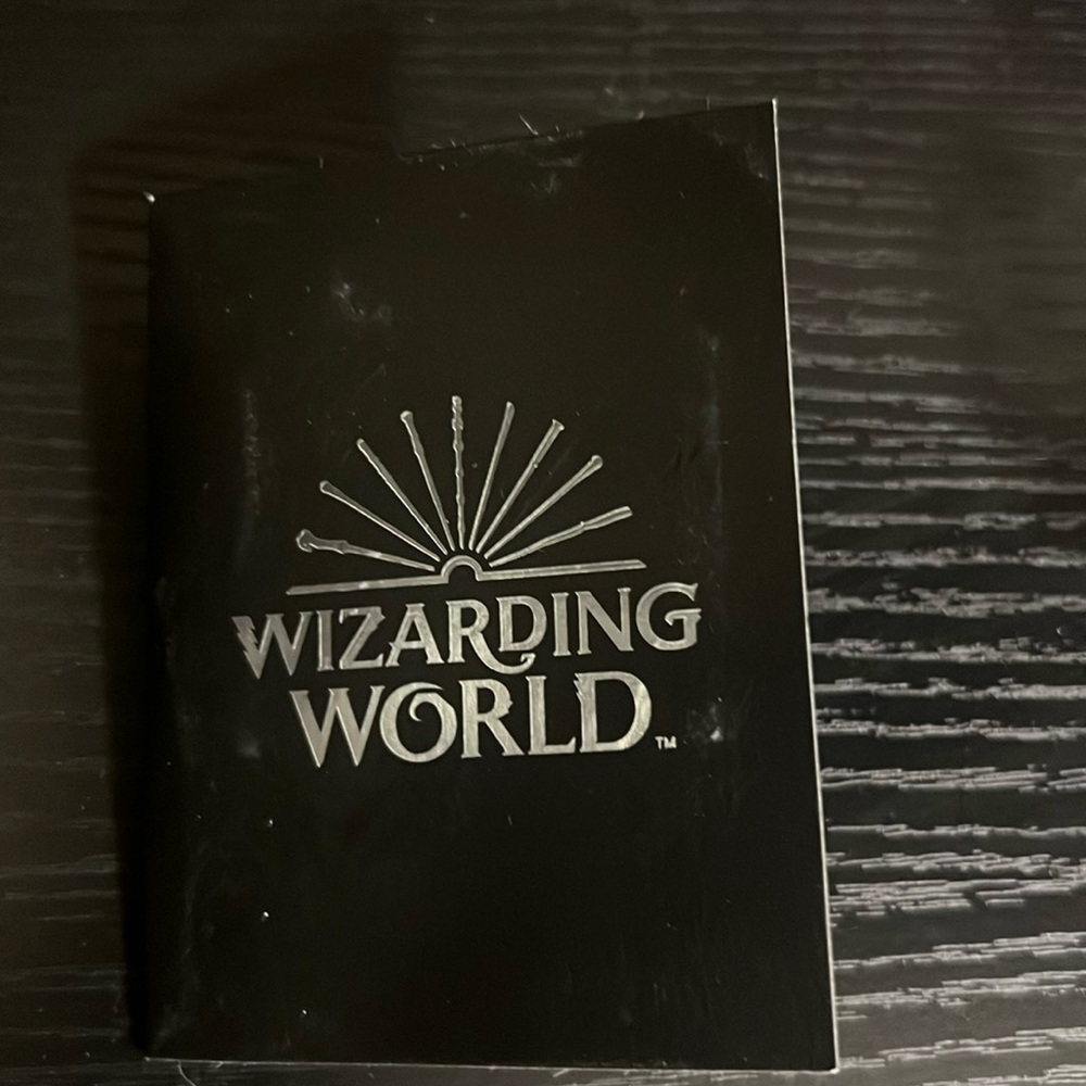 Harry Potter Wizarding World collectors: Magic Places The Lovegood House